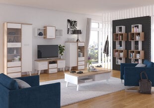 TV-pöytä Nordis 3D, tammi / valkoinen hinta ja tiedot | TV-tasot | hobbyhall.fi