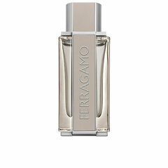 Miesten hajuvesi Salvatore Ferragamo Ferragamo Bright Leather EDT (100 ml) hinta ja tiedot | Salvatore Ferragamo Hajuvedet ja kosmetiikka | hobbyhall.fi