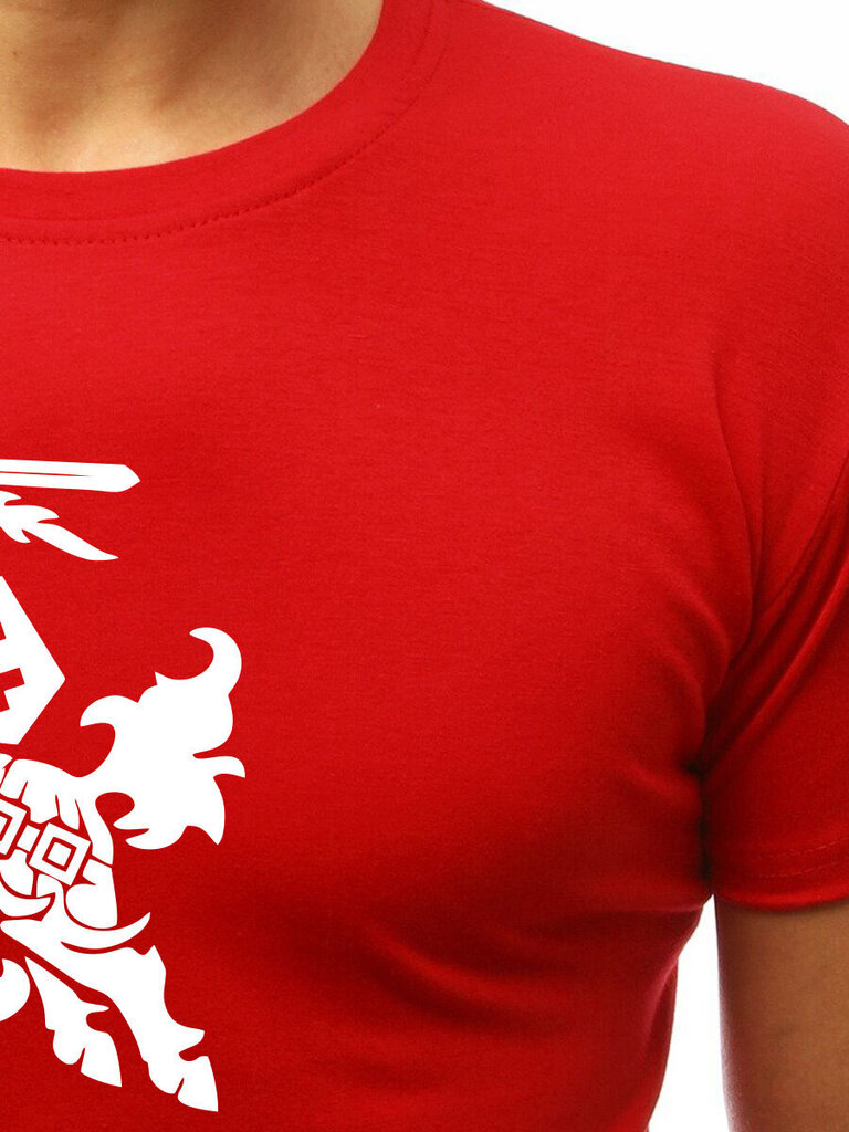 Punainen T-paita miehille VYTIS hinta ja tiedot | Miesten T-paidat | hobbyhall.fi