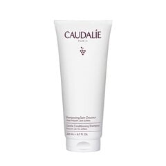 Hellävarainen hoitava shampoo Caudalie, 200 ml hinta ja tiedot | Shampoot | hobbyhall.fi