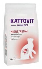 Feline Diet Kidney/Renal kissoille 4 kg hinta ja tiedot | Kissan kuivaruoka | hobbyhall.fi