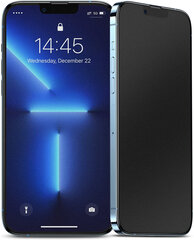 Näytönsuoja Soundberry DustProof Matte (antifingerprint) 5D glass Apple iPhone 13 Pro Max puhelimelle hinta ja tiedot | Näytönsuojakalvot ja -lasit | hobbyhall.fi