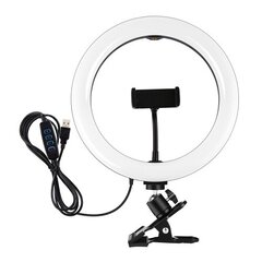 LED rengaslamppu 26cm, puhelinteline ja pidike, USB hinta ja tiedot | Puluz Puhelimet, älylaitteet ja kamerat | hobbyhall.fi