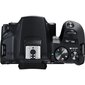 Canon EOS 4000D + EF-S 10-18mm IS STM hinta ja tiedot | Kamerat | hobbyhall.fi