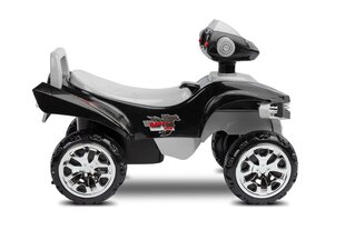 Lasten mönkijä Toyz MiniRaptor, harmaa hinta ja tiedot | Toyz Lelut | hobbyhall.fi