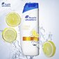 Shampoo HEAD & SHOULDERS Citrus Fresh 400ml. hinta ja tiedot | Shampoot | hobbyhall.fi