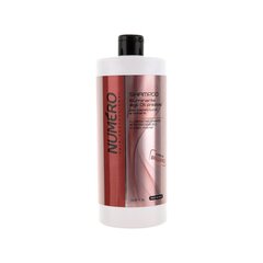 Brelil Numero Illuminating -shampoo ohuille, hennoille ja käsitellyille hiuksille, 1 l hinta ja tiedot | Brelil Hajuvedet ja kosmetiikka | hobbyhall.fi