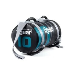 Painosäkki TIGUAR Power Bag, 10kg hinta ja tiedot | Tiguar Kuntolaitteet | hobbyhall.fi