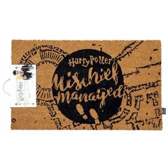 Harry Potter Mischief Managed hinta ja tiedot | Pelien oheistuotteet | hobbyhall.fi