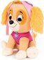 Paw Patrol (Ryhmä Hau) Ryhmä Hau -pehmolelu Kaja, 22 cm Color hinta ja tiedot | Pehmolelut | hobbyhall.fi