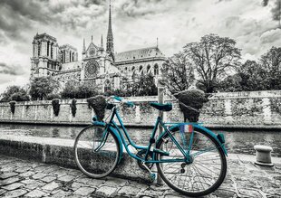 Pyörä lähellä Notre Dame palapeli 500kpl hinta ja tiedot | Educa Lapset | hobbyhall.fi