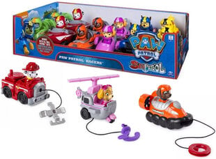 Paw Patrol (Ryhmä Hau) Rescue Racers valikoituja ajoneuvo hinta ja tiedot | Poikien lelut | hobbyhall.fi