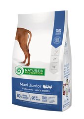 Nature's Protection Maxi Junior Poultry Ruoka isojen rotujen koirille, 12 kg hinta ja tiedot | Koiran kuivaruoka | hobbyhall.fi