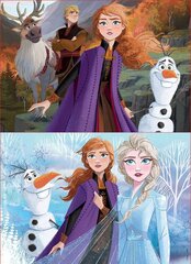Disney Frozen 2 puinen palapeli 2x50kpl hinta ja tiedot | Palapelit | hobbyhall.fi
