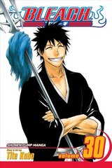 Viz Bleach Vol. 30 Pehmeäkantinen manga hinta ja tiedot | Fantasia- ja scifi-kirjallisuus | hobbyhall.fi
