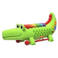 Fisher-Price krokotiilin ksylofoni (22282) hinta ja tiedot | Vauvan lelut | hobbyhall.fi