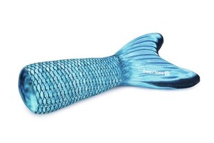 Beeztees kelluva lelu koirille Fishtail, 26x15x7 cm, sininen hinta ja tiedot | Koiran lelut | hobbyhall.fi