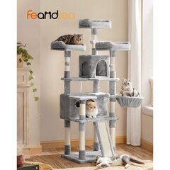 Kissan raapimispylväs, 168 cm, vaalean harmaa hinta ja tiedot | Raapimispuut ja kiipeilypuut | hobbyhall.fi