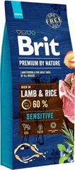 Brit Premium By Nature kuivaruoka koirille, lammas, 8 kg hinta ja tiedot | Koiran kuivaruoka | hobbyhall.fi