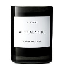 Aromaattinen kynttilä Byredo Apocalyptic, 240 g hinta ja tiedot | Kynttilät ja kynttilänjalat | hobbyhall.fi