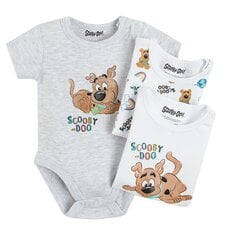 Cool Club bodyt pojille Scooby-Doo 3 kpl, LUB2402785-00 hinta ja tiedot | Vauvan bodyt ja alusasut | hobbyhall.fi