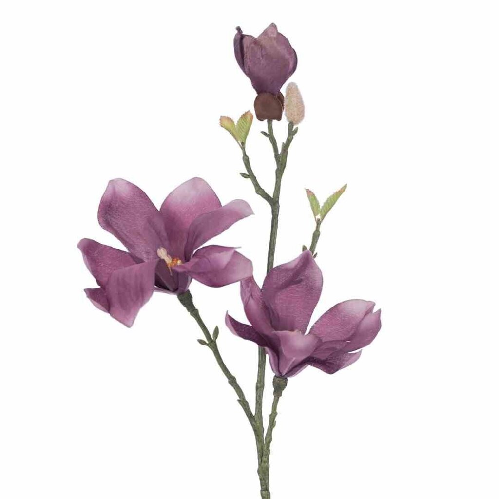 Tekokukka magnolia, 10 kpl. hinta ja tiedot | Sisustustuotteet | hobbyhall.fi