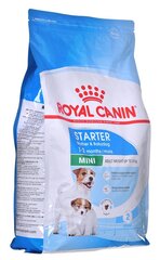 Royal Canin Mini Starter Mother&Babydog tiineille ja imettäville narttukoirille, 4 kg hinta ja tiedot | Koiran kuivaruoka | hobbyhall.fi