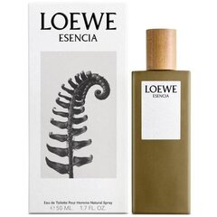 Miesten hajuvesi Esencia Loewe, 50 ml hinta ja tiedot | Loewe Hajuvedet ja tuoksut | hobbyhall.fi