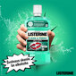 Suuvesi LISTERINE Clean & Fresh, 500 ml hinta ja tiedot | Suuhygienia | hobbyhall.fi