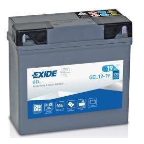 Akku Exide Gel-12-19 80019, 19 Ah 170 A DIN 12V hinta ja tiedot | Moottoripyörien akut | hobbyhall.fi