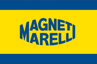 MAGNETI MARELLI D2R, Auton ksenonpolttimo, 4600K hinta ja tiedot | Magneti Marelli DRL Autotuotteet | hobbyhall.fi