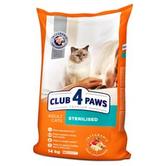 CLUB 4 PAWS Premium kuivaruoka täysikasvuisille kissoille vasikanlihalla, 300 g hinta ja tiedot | Kissan kuivaruoka | hobbyhall.fi