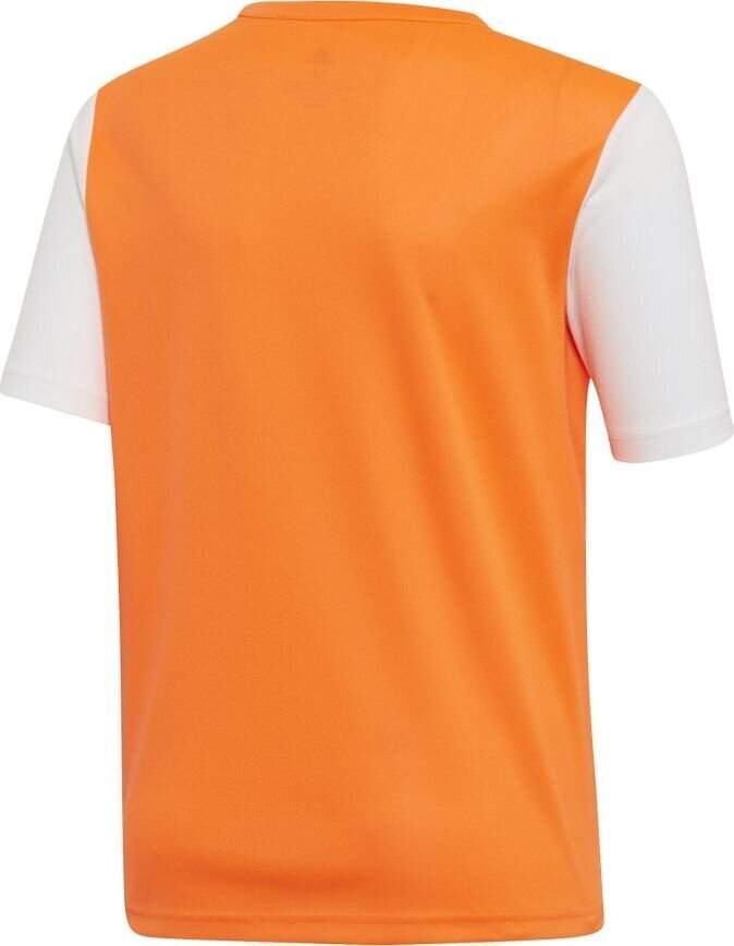 Adidas ESTRO 19 JSY, oranssin värinen jalkapalloilu paita, 152 cm hinta ja tiedot | Jalkapallovaatteet ja -varusteet | hobbyhall.fi