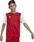 Adidas ESTRO 19 JSY, punaisen värinen jalkapalloilupaita, 164cm hinta ja tiedot | Jalkapallovaatteet ja -varusteet | hobbyhall.fi