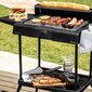 CECOTEC PERFECTSTEAK SÄHKÖGRILLI 4250 TELINEELLÄ 2400W hinta ja tiedot | Grillit | hobbyhall.fi