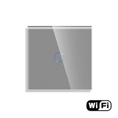 WiFi kaksipiiriinen kosketuskytkin, harmaa 600W hinta ja tiedot | Kytkimet ja pistorasiat | hobbyhall.fi