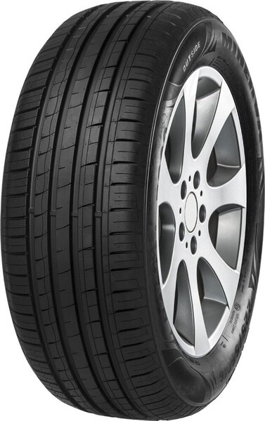 Minerva F209 215/60R16 95 H