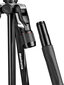 Manfrotto kolmijalka MKBFRLA4B-BHM Befree 2N1 hinta ja tiedot | Kamerajalustat | hobbyhall.fi