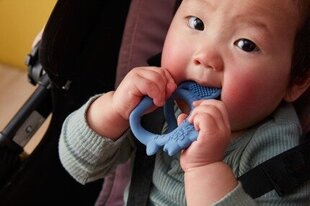 Wrist purulelu – Lullaby Blue hinta ja tiedot | B. BOX Vauvan ruokailutarvikkeet | hobbyhall.fi