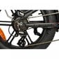 Sähköpyörä Engwe Engine PRO, musta, 20", 750W, 16Ah hinta ja tiedot | Sähköpyörät | hobbyhall.fi