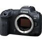 Canon EOS RP -runko kiinnityssovittimella EF-EOS R hinta ja tiedot | Kamerat | hobbyhall.fi