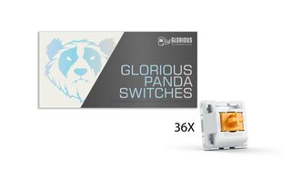 Glorious PC Gaming Race Panda switchid | tactile & clicky (36 kpl) hinta ja tiedot | Ohjaimet ja lisätarvikkeet | hobbyhall.fi