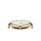 Daniel Wellington Petite 28 Evergold naisten rannekello hinta ja tiedot | Naisten kellot | hobbyhall.fi