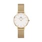 Daniel Wellington Petite 28 Evergold naisten rannekello hinta ja tiedot | Naisten kellot | hobbyhall.fi