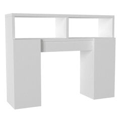 Seinäkaappi Kalune Design 756(I), valkoinen hinta ja tiedot | Kylpyhuonekaapit | hobbyhall.fi