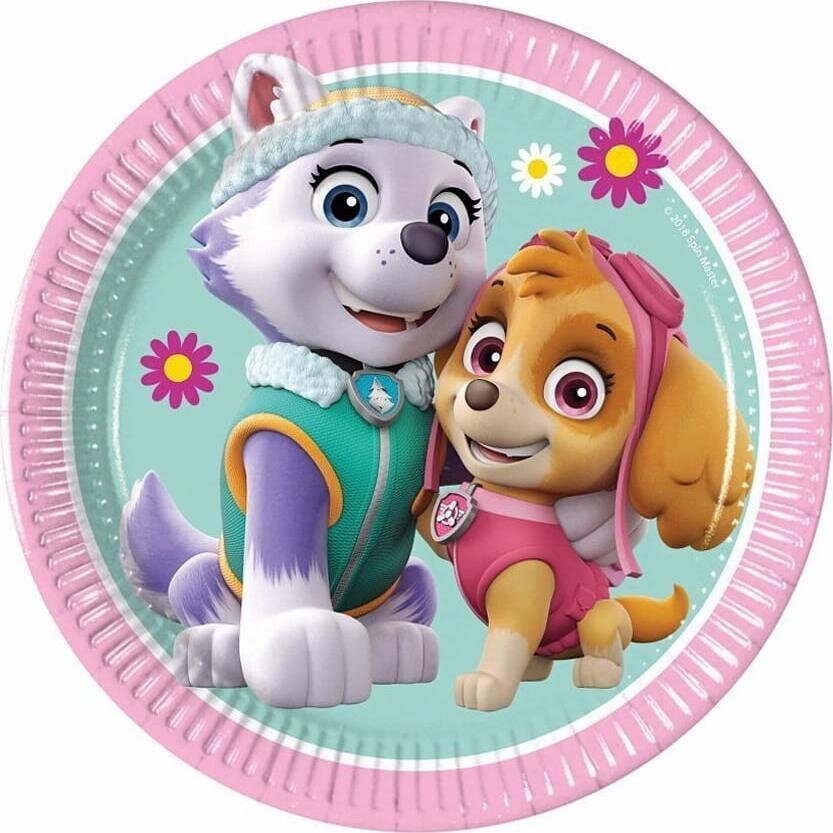 Yksittäiset paperilautaset 19,5 cm, 8 kpl "Paw Patrol (Ryhmä Hau) Skye & Everest" 93492 hinta ja tiedot | Tarjoiluastiat ja aterimet juhliin | hobbyhall.fi