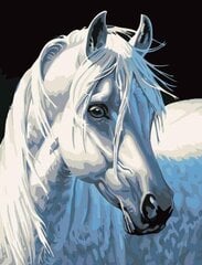Maalaus numeroiden mukaan “Valkoinen hevonen” 40X50 G hinta ja tiedot | Maalaa numeroiden mukaan | hobbyhall.fi