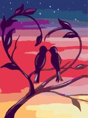 Maalaus numeroiden mukaan “Romanttiset linnut” 30X40 G hinta ja tiedot | Maalaa numeroiden mukaan | hobbyhall.fi
