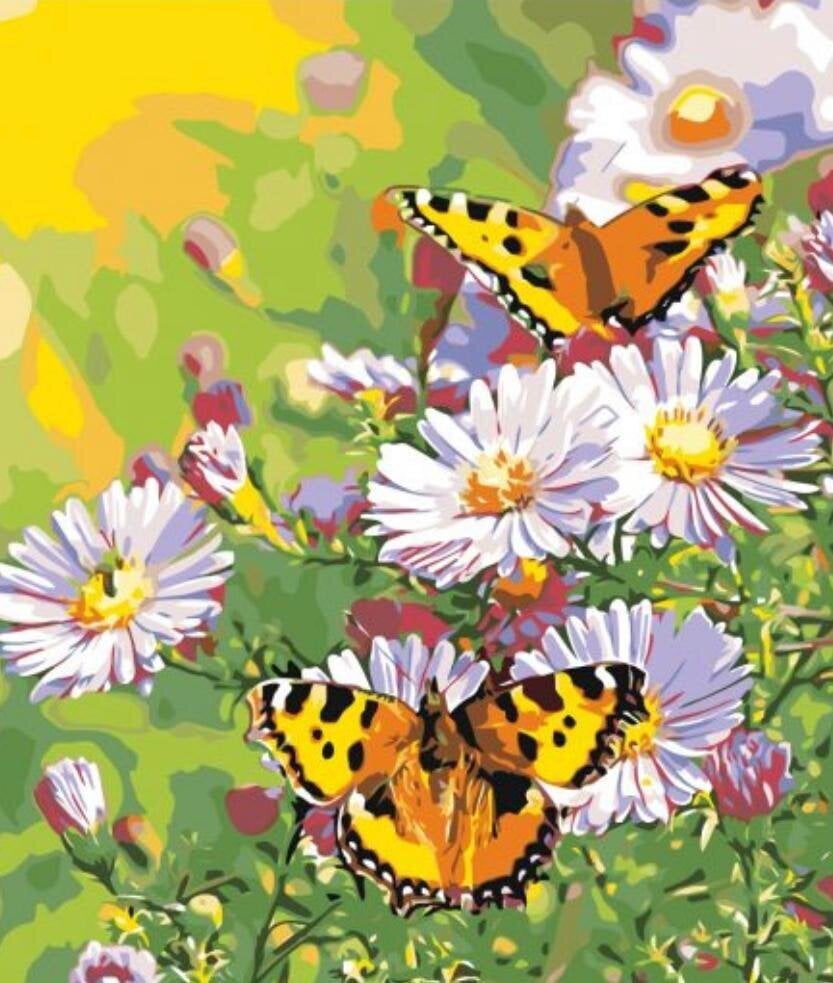 Maalaus numeroiden mukaan “Kukkia ja perhosia” 40X40 G hinta ja tiedot | Maalaa numeroiden mukaan | hobbyhall.fi