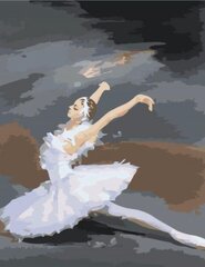 Maalaus numeroiden mukaan “Ballerina tanssii” 40X50 G hinta ja tiedot | Maalaa numeroiden mukaan | hobbyhall.fi